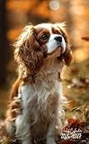 2026-2027 Pocket Calendar: 2 Year Pocket Planner January 2026 - December 2027 | For Cavalier King Charles Spaniel Dog Lovers