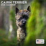 2026 Cairn Terrier Calendar - Dog Breed Wall Calendar - 12 x 24 Open - Thick No-Bleed Paper - 14 Month Planner Calendar Organizing & Planning