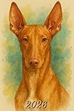 Pharaoh Hound calendar thumbnail