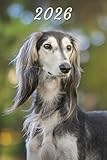 2026: Small Monthly Calendar Planner - Saluki Dog