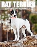 Rat Terrier calendar thumbnail