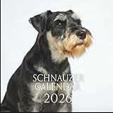 Standard Schnauzer Calendar 2026: 12 Months of Intelligent, Loyal, and Playful Schnauzer Companions
