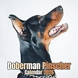 Doberman Pinscher Calendar 2026: 12 Months Organizer From January to December