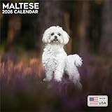 2026 Maltese Calendar - Dog Breed Wall Calendar - 12 x 24 Open - Thick No-Bleed Paper - 14 Month Planner Calendar Organizing & Planning