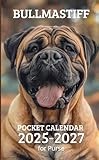 2025-2027 POCKET CALENDAR: 3 Year Pocket Planner January 2025 - December 2026 | Cute Bullmastiff Cover Design