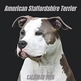 American Staffordshire Terrier Calendar 2026: 12 Months Organizer From January to December