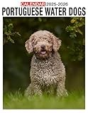 Portuguese Water Dog calendar thumbnail