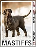 Mastiffs Calendar 2026 - 2027: Elegant Monthly Organizer from Jan 2026 to Dec 2027, Ideal Gift for Minimalist Lifestyle