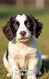 Pocket Calendar 2026-2027: Small 2-Year Monthly agenda from January 2026 to December 2027 purse size | English Springer Spaniel Dog Design