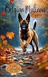 Belgian Malinois Puppies Pocket Calendar 2025-2026: Small 2-Year Monthly Planner For Purse