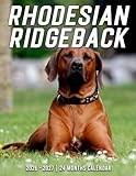 Rhodesian Ridgeback Calendar 2026 - 2027: Make Each Month Count With Monthly Planner Jan 2026 To Dec 2027 Gorgeous Photos Us Holidays Perfect Gift