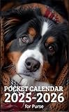 Pocket Calendar 2025 - 2026 for Purse: 2 Year Pocket Planner January 2025 - December 2026 | Bernese Mountain Dog Cover Design