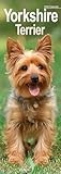 Yorkshire Terrier Slim Calendar 2026 Dog Breed Slimline Calendar - 12 Month