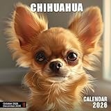 Chihuahua Calendar 2026: Big Personality in Tiny Frames for a Year of Sass