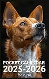 Pocket Calendar 2025 - 2026 for Purse: 2 Year Pocket Planner January 2025 - December 2026 | Basenji Dog Cover Design