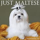 Maltese 2026 Wall Calendar