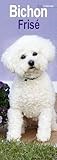 Bichon Frise Slim Calendar 2026 Dog Breed Slimline Calendar - 12 Month