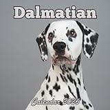 Dalmatian Calendar 2026: 12 Months Organizer From January to December