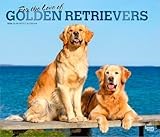 Golden Retriever calendar thumbnail