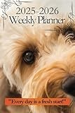 2025 2026 Labradoodle Calendar and Planner