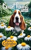 Basset Hound Puppies Pocket Calendar 2025-2026: 2 Year Monthly Planner for Purse, From January 2025 to December 2026