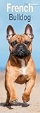 French Bulldog Slim Calendar 2026 Dog Breed Slimline Calendar - 12 Month