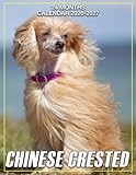 Chinese Crested Calendar 2026 - 2027: Jan 2026 to Dec 2027 Planner, Thoughtful Holiday Gift, For Work, School, or Travel