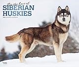 For the Love of Siberian Huskies | 2026 14 x 24 Inch (Hanging) Monthly Deluxe Wall Calendar | Foil Stamped Cover | Plastic-Free | BrownTrout | Animal Dog Breeds Husky