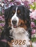 2026: Large Monthly Calendar Planner – Bernese Mountain Dog