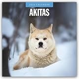 Akitas 2026 Square Wall Calendar