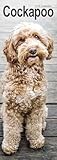 Cockapoo Slim Calendar 2026 Dog Breed Slimline Calendar - 12 Month