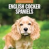 English Cocker Spaniels 2026 Square Wall Calendar