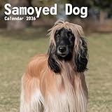Afghan hound Calendar 2026: 12 Months of Dogs: January to December 2026 | The Perfect Gift for Planning, Organizing, and Dog Lovers Alike