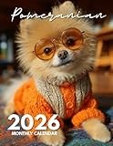 Pomeranian 2026 Calendar – 8.5 x 11 Inch Monthly Planner with Adorable & Fluffy Pomeranian Photos: 12 Months of Pocket-Sized Fluff, Big Personality, ... – Ideal for Home, Office, or Fridge Display