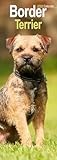 Border Terrier Slim Calendar 2026 Dog Breed Slimline Calendar - 12 Month