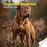 Dogue De Bordeaux Calendar 2026: Powerful and Gentle Giants with Wrinkled Charm