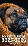 Pocket Calendar 2025 - 2026 for Purse: 2 Year Pocket Planner January 2025 - December 2026 | Bullmastiff Dog Cover Design
