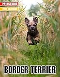 Border Terrier calendar thumbnail