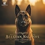 Belgian Malinois Calendar 2026: Brave & Loyal , A Stunning Year of High-Energy Police Dog Breed Moments