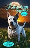 2025-2026 American Staffordshire Terriers Pocket Calendar: 2 Years Small Monthly Planner For Purse