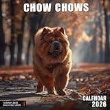 Chow Chows Calendar 2026: Regal Faces and Fluffy Fur Wrapped in Monthly Charm