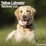 Labrador Retriever calendar thumbnail