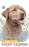 Pocket Calendar 2024 - 2026: Three-Year Monthly Planner for Purse , 36 Months from January 2024 to December 2026 | Curly hair Chesapeake Bay Retriever dog | Space flowers