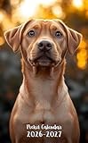 Pocket Calendar 2026-2027: Small 2-Year Monthly agenda from January 2026 to December 2027 purse size | Rhodesian Ridgeback Dog Design
