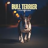 Bull Terrier Calendar 2026: Yearly Planner with U.S. Holidays • Canine Views & Monthly Notes • Square 8.5x8.5