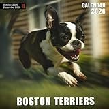 Boston Terriers Calendar 2026: Spirited and Stylish Companions in Everyday Moments