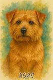 2026: Small Monthly Calendar Planner - Watercolor Norfolk Terrier Dog