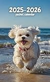 2025 2026 Pocket Calendar: dog Cute:Small 2-Year Monthly Planner for Purse, Cute Maltese Cover Design