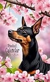 Pocket Calendar 2025-2026: Miniature Pinscher Cover, 24 Months Monthly Planner, Small Size 4*6.5 inches