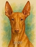 2026: Large Monthly Calendar Planner – Watercolor Pharaoh Hound Dog